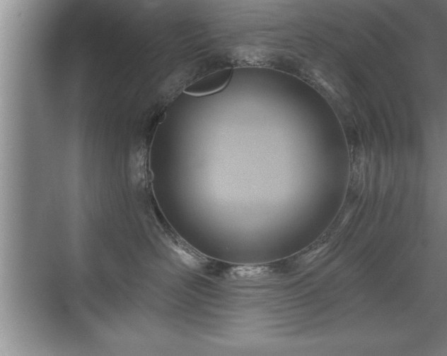 X0000071330526200606301604