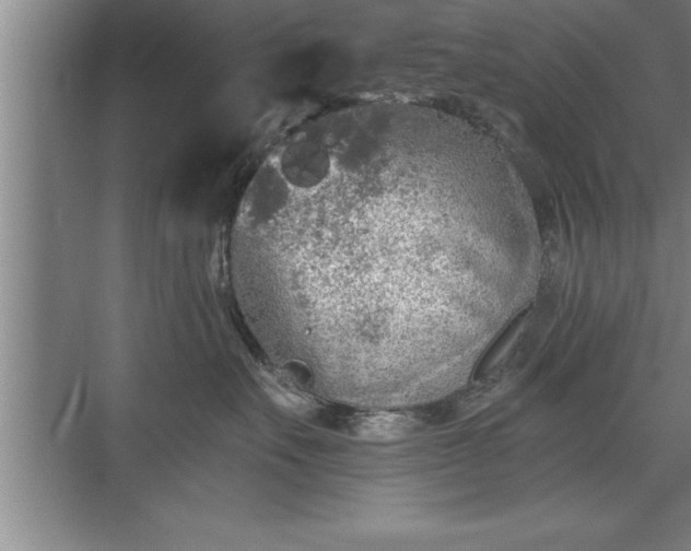 X0000071330527200606301604