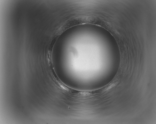 X0000071330528200606301604