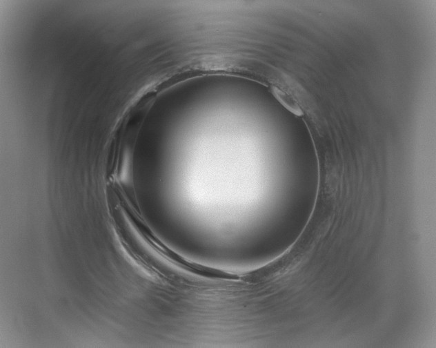 X0000071330530200606301603