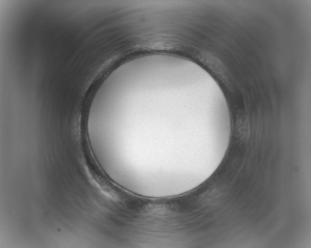 X0000071330534200606301603