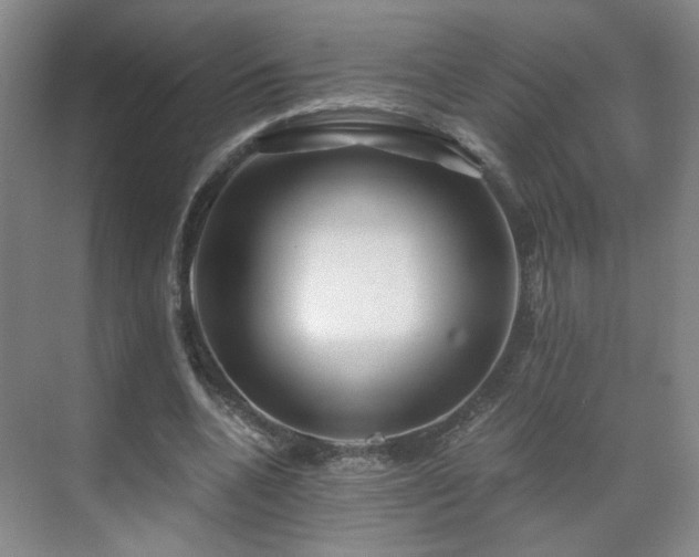 X0000071330536200606301603