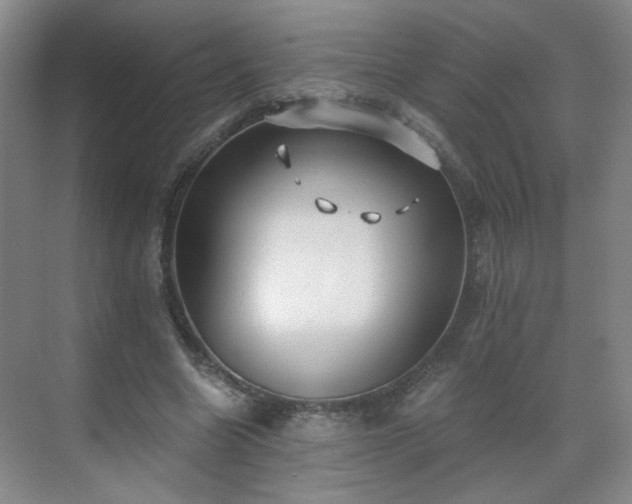 X0000071330538200606301603