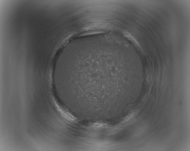 X0000071330542200606301603