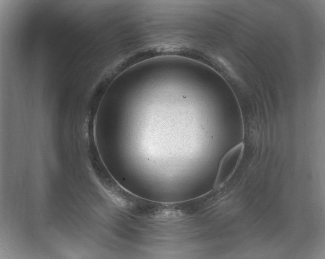 X0000071330543200606301603