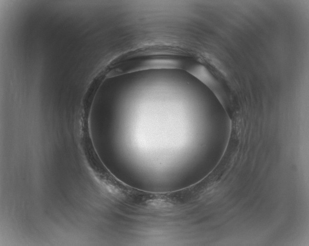 X0000071330544200606301603