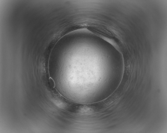 X0000071330547200606301603