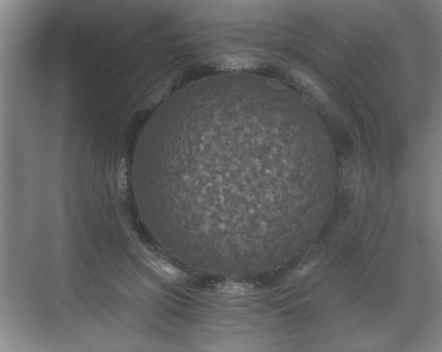 X0000071330549200606301603