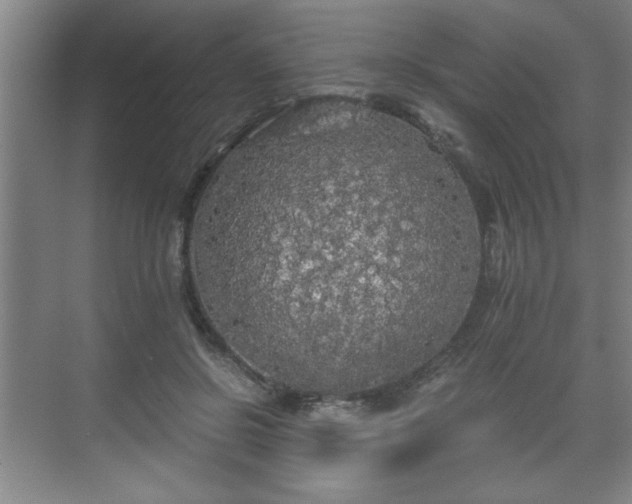 X0000071330550200606301603