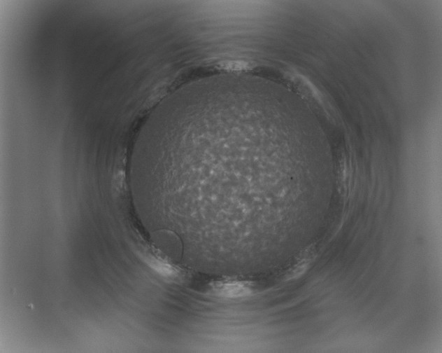 X0000071330553200606301603