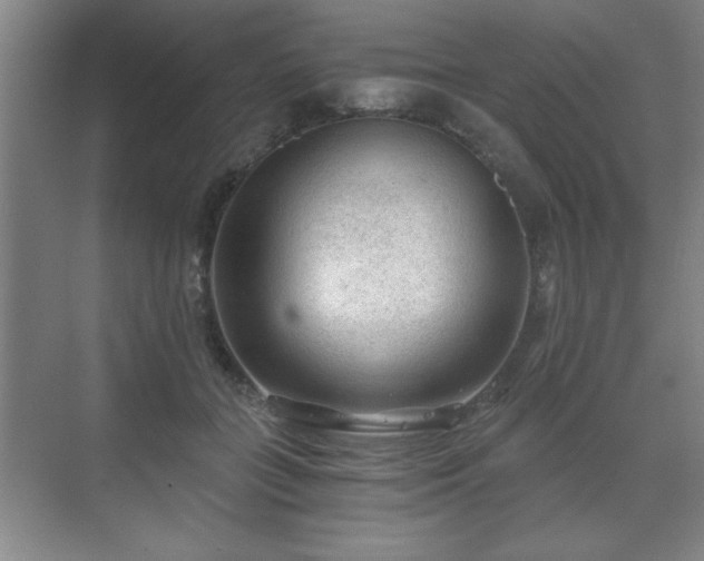 X0000071330555200606301603