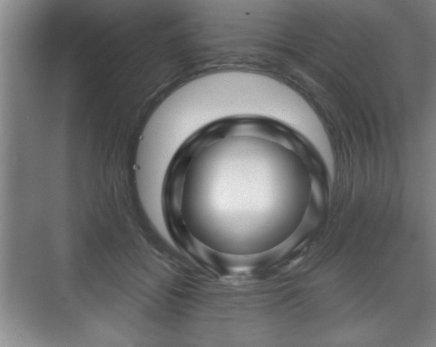 X0000071330556200606301603