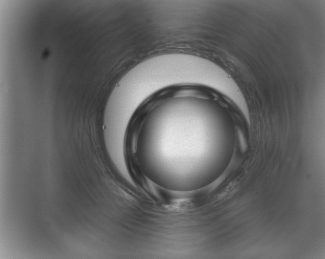 X0000071330558200606301603