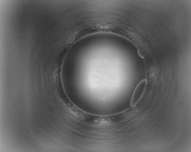 X0000071330559200606301603