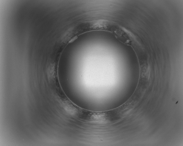 X0000071330560200606301603