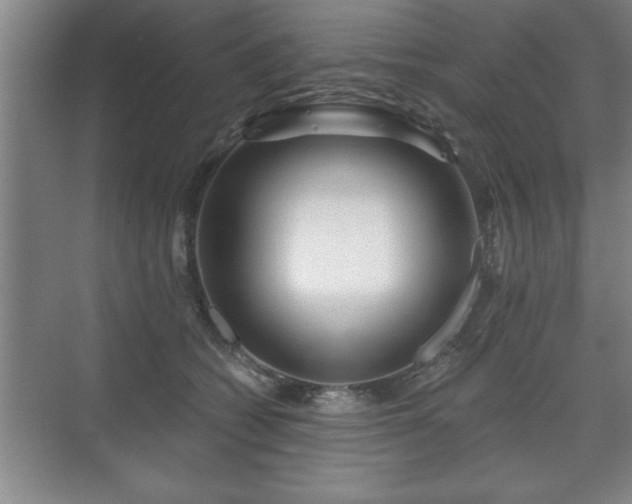 X0000071330562200606301603