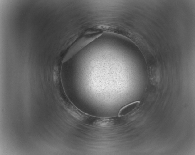 X0000071330563200606301603