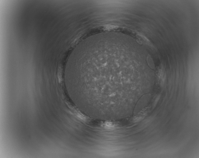 X0000071330565200606301603