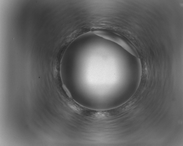 X0000071330566200606301603