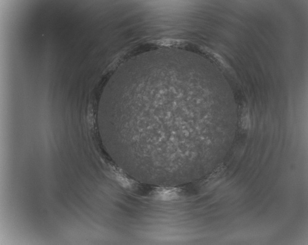 X0000071330569200606301603