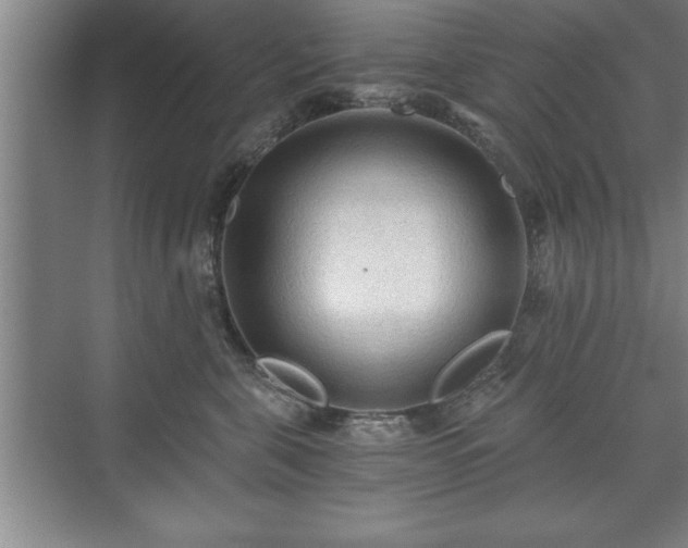 X0000071330571200606301604