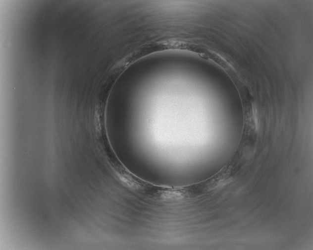 X0000071330572200606301604