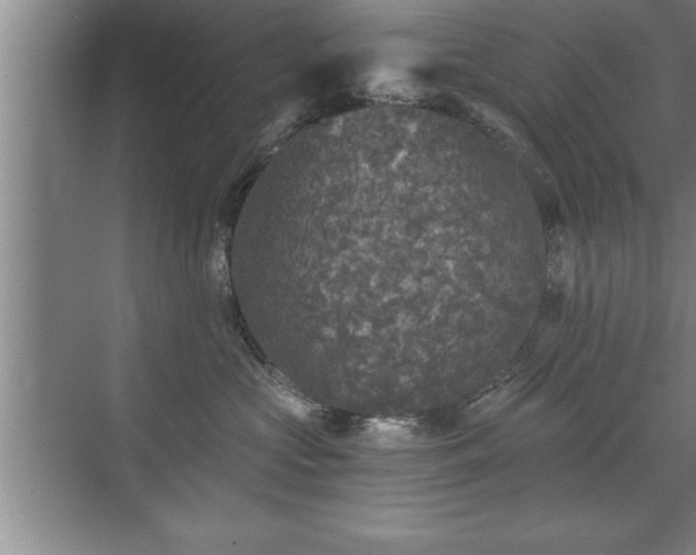 X0000071330573200606301604