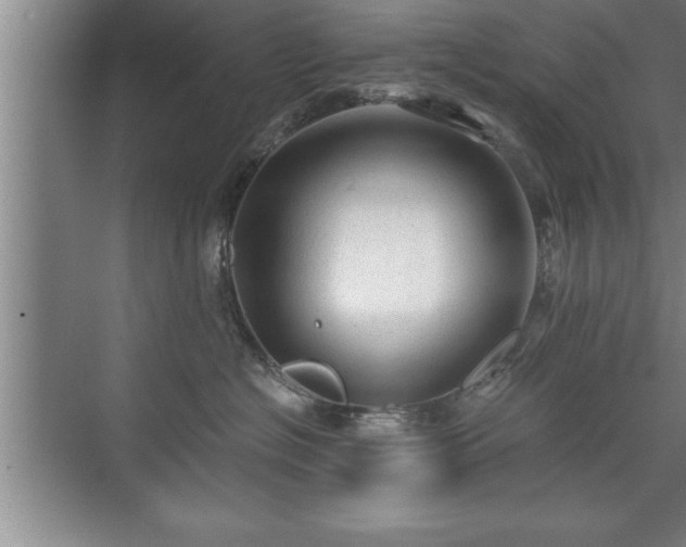 X0000071330574200606301604