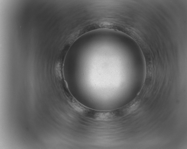 X0000071330575200606301604