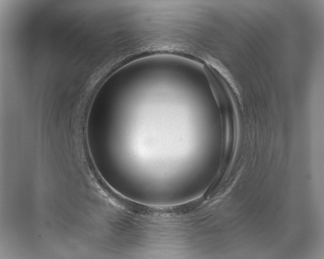 X0000071330577200606301603