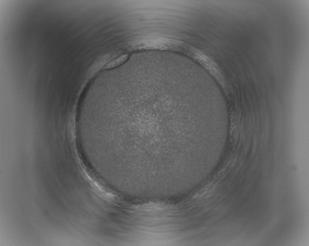 X0000071330578200606301603