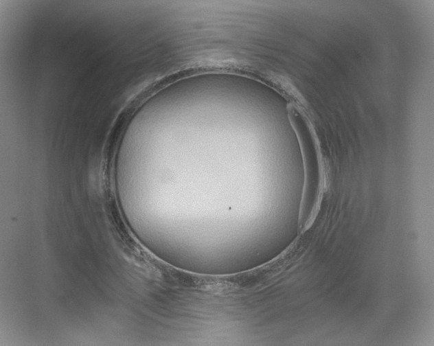 X0000071330579200606301603