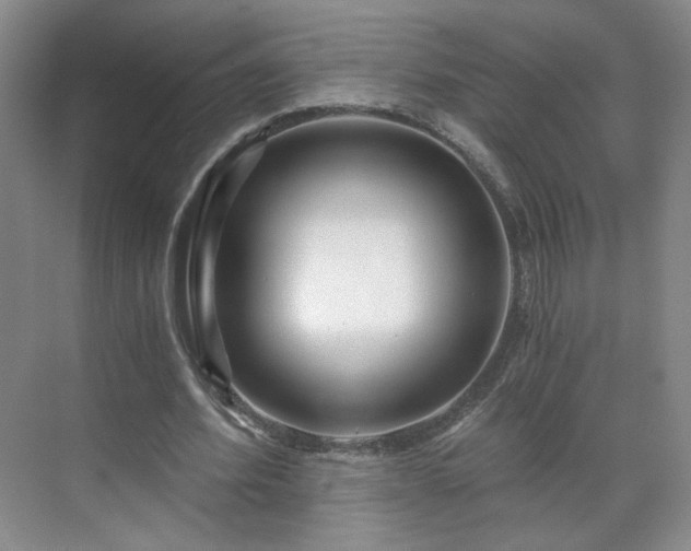 X0000071330580200606301603