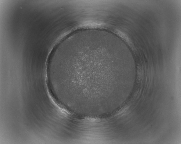 X0000071330582200606301603