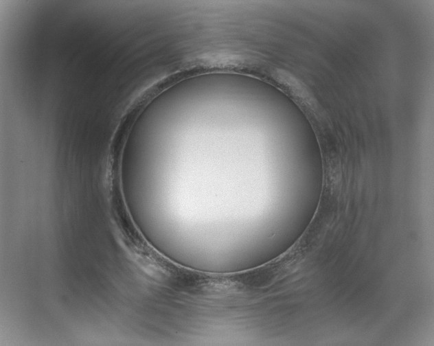 X0000071330583200606301603