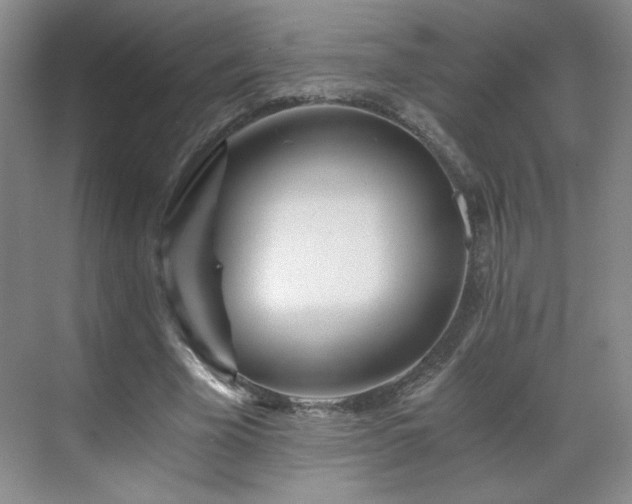 X0000071330585200606301603