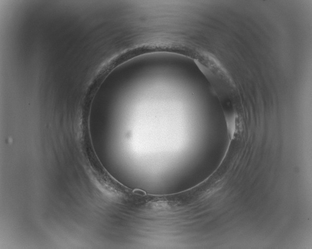 X0000071330588200606301603