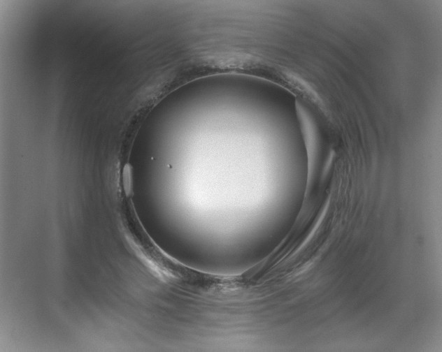 X0000071330589200606301603