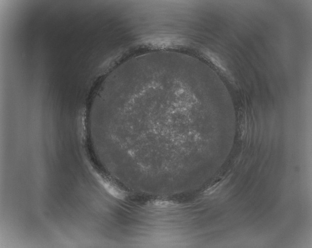 X0000071330590200606301603