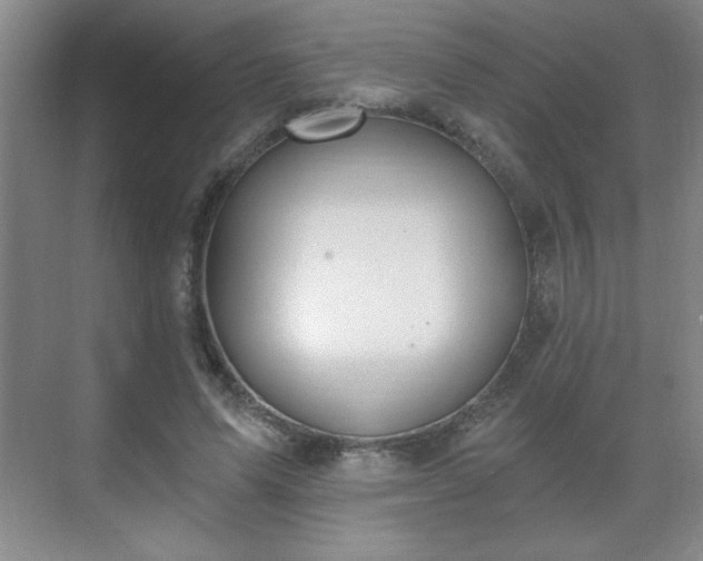 X0000071330591200606301603