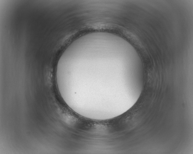 X0000071330592200606301603