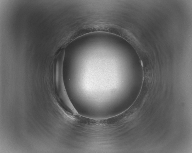 X0000071330593200606301603