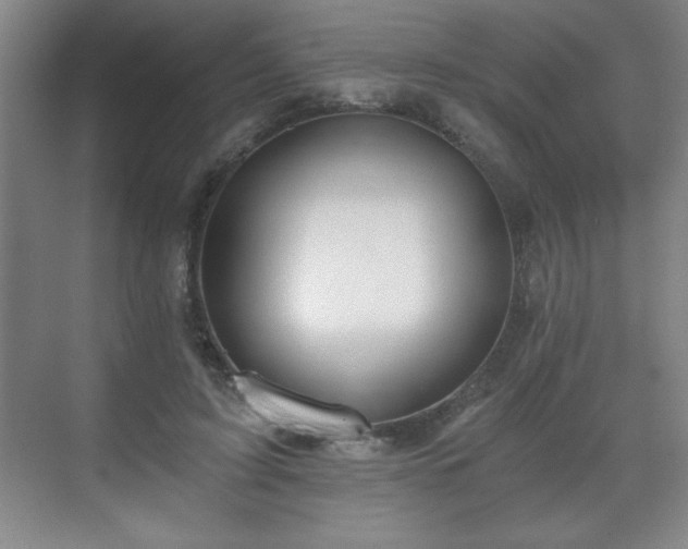 X0000071330595200606301602