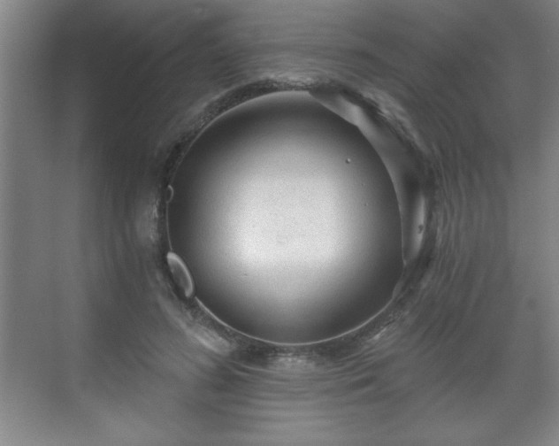 X0000071330596200606301602