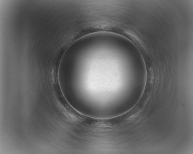 X0000071330597200606301602