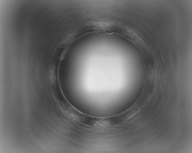 X0000071330599200606301602