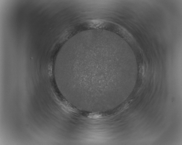 X0000071330602200606301602