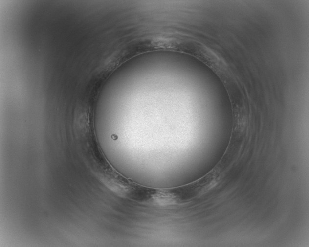 X0000071330603200606301602