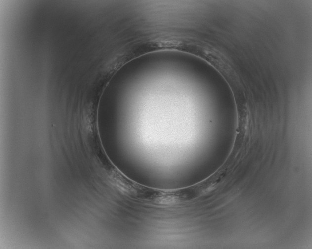 X0000071330604200606301602