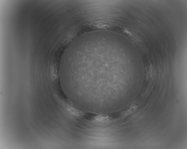 X0000071330606200606301602